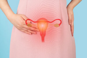 Illustration of female reproductive system on woman.
